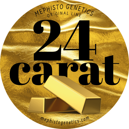 24 Carat