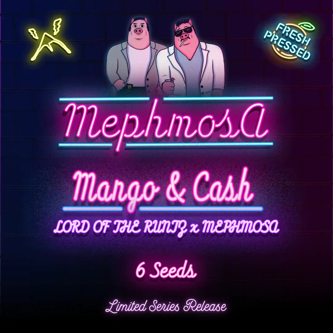 Mango & Cash