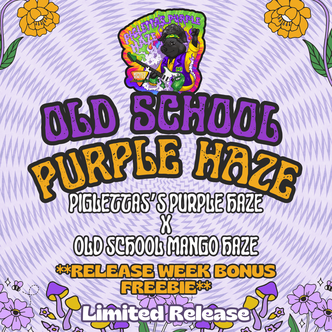 Old School Purple Haze Mephisto