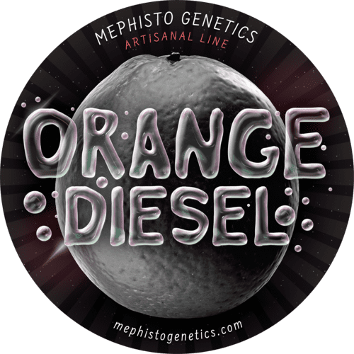 Orange Diesel
