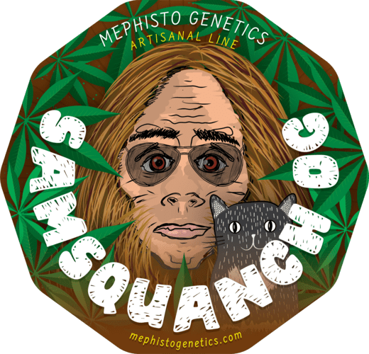 Samsquanch OG
