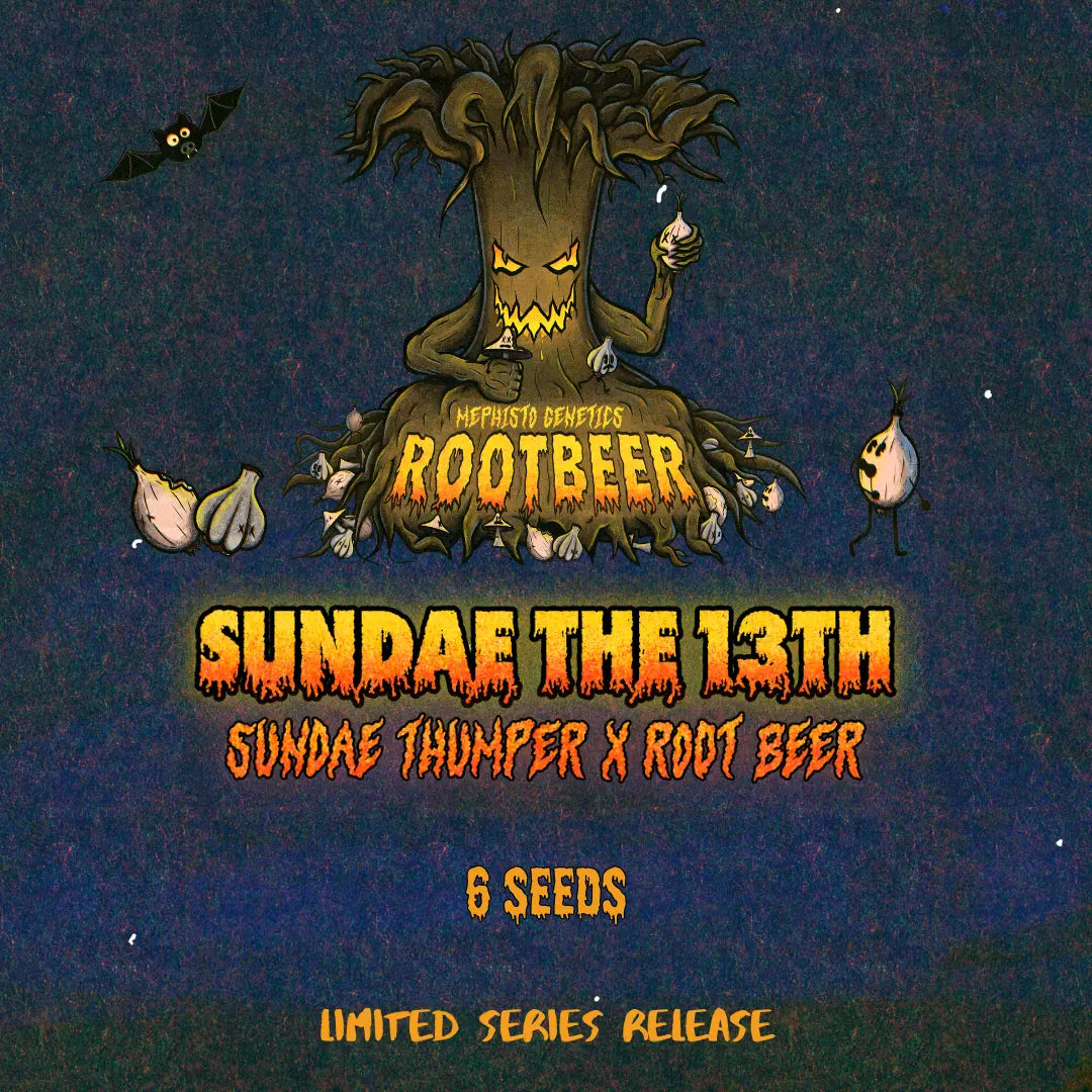 Sundae the 13th