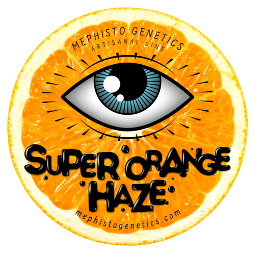 Super Orange Haze