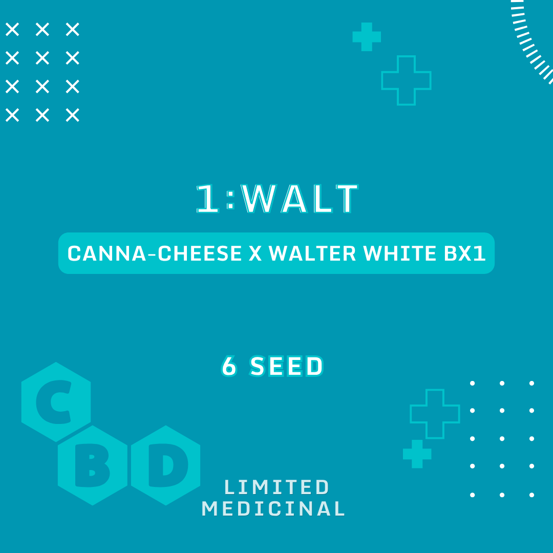 1:Walt