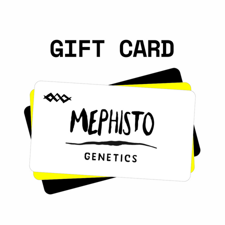 The MG Gift Card