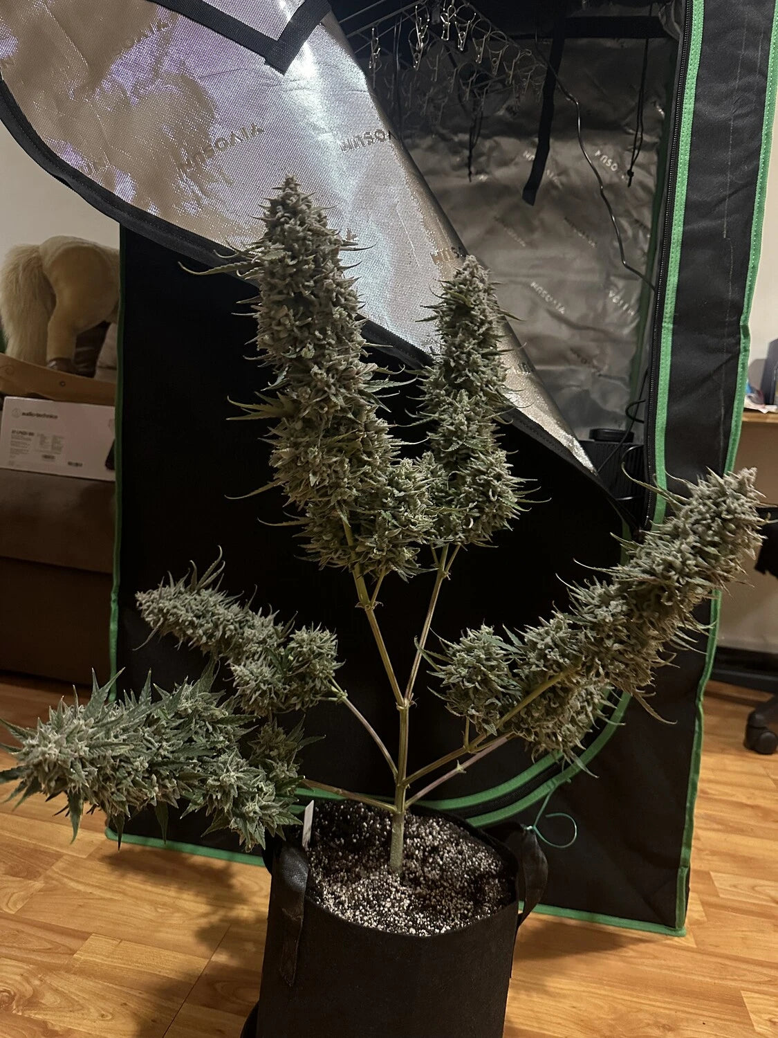 Customer Photo