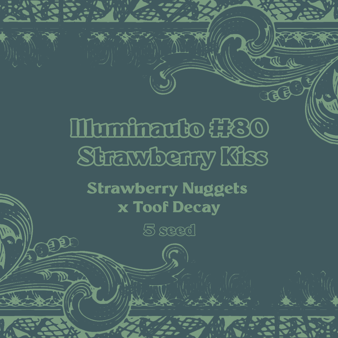 ILL#80 - Strawberry Kiss