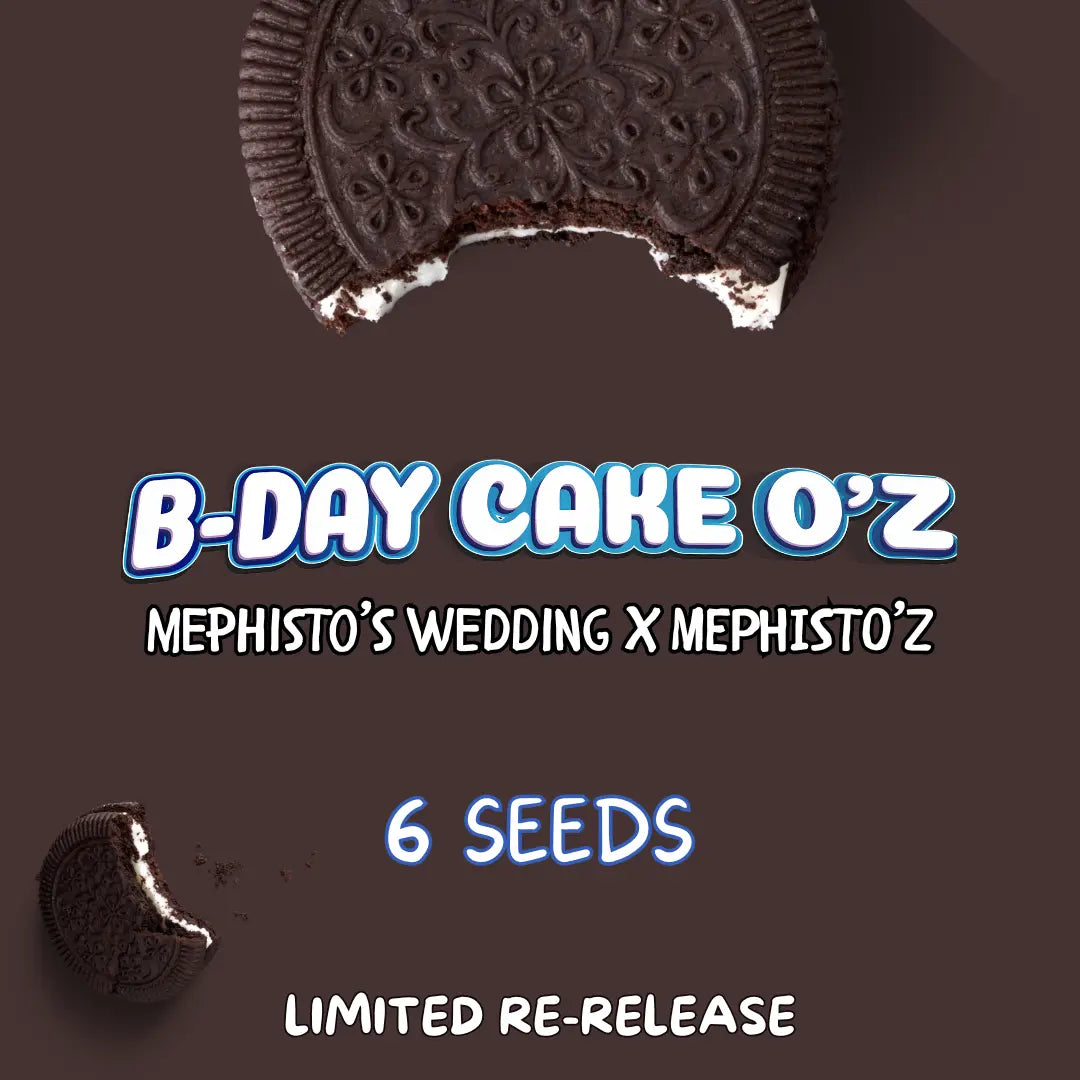 B-day Cake O'z