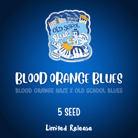 Blood Orange Blues