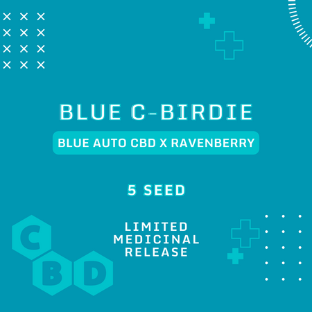 Blue C-Birdie