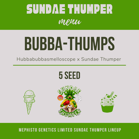 Bubba-Thumps