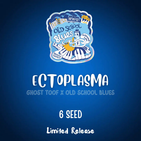 Ectoplasma