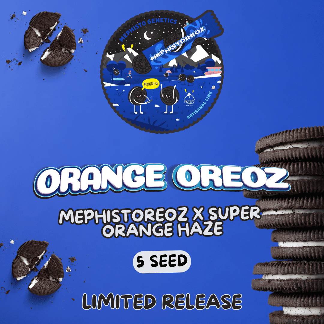 Orange Oreoz