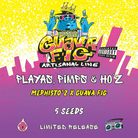 Playas, Pimps & HO'z