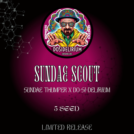 Sundae Scout