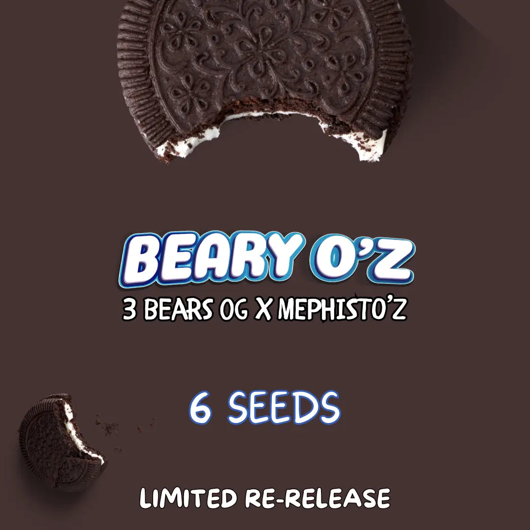 Beary O’z
