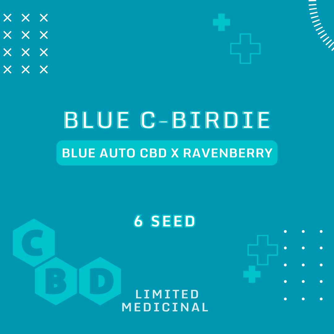 Blue C-Birdie