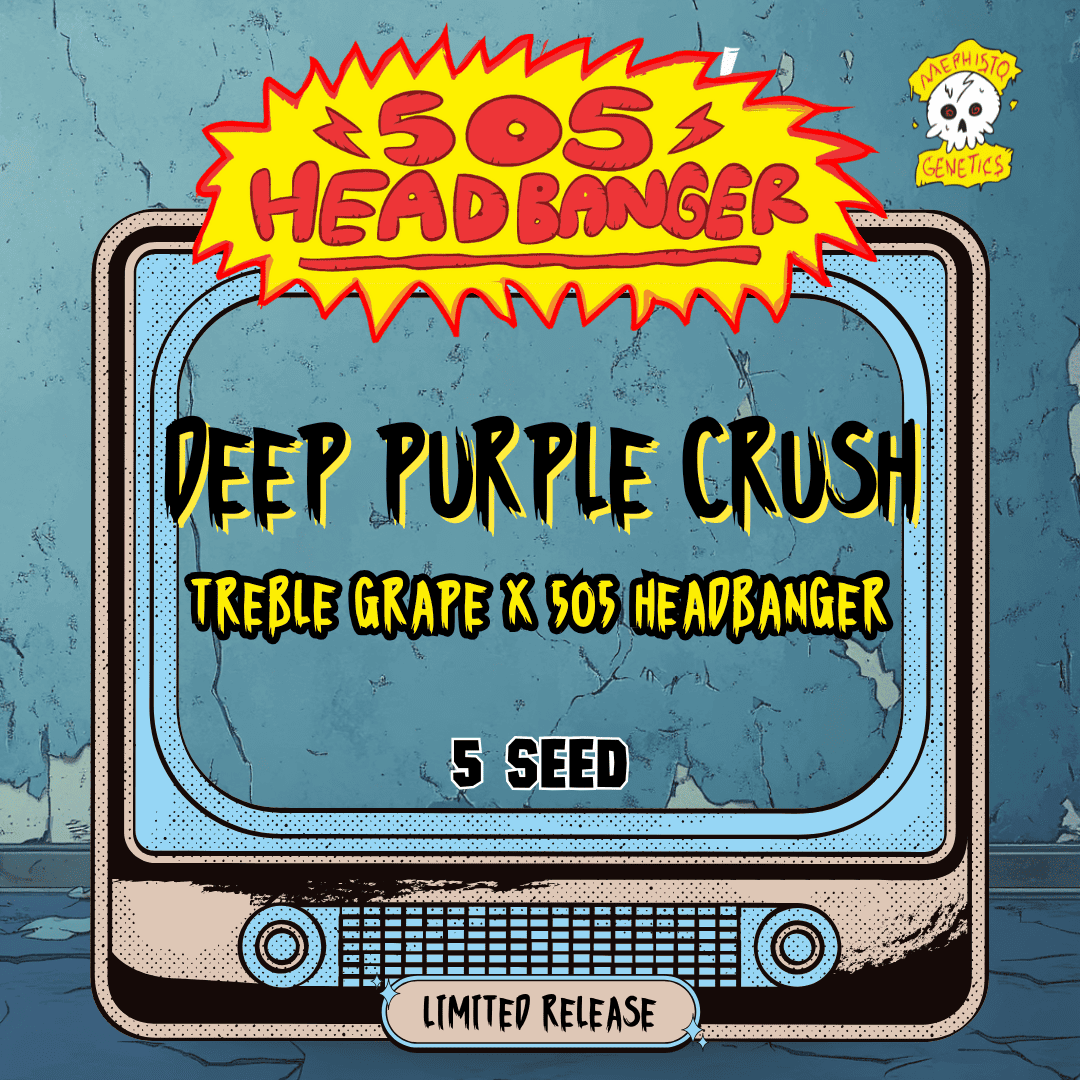 Deep Purple Crush