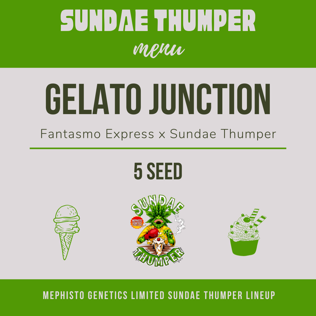 Gelato Junction