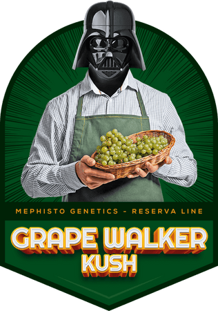 Grape Walker Kush