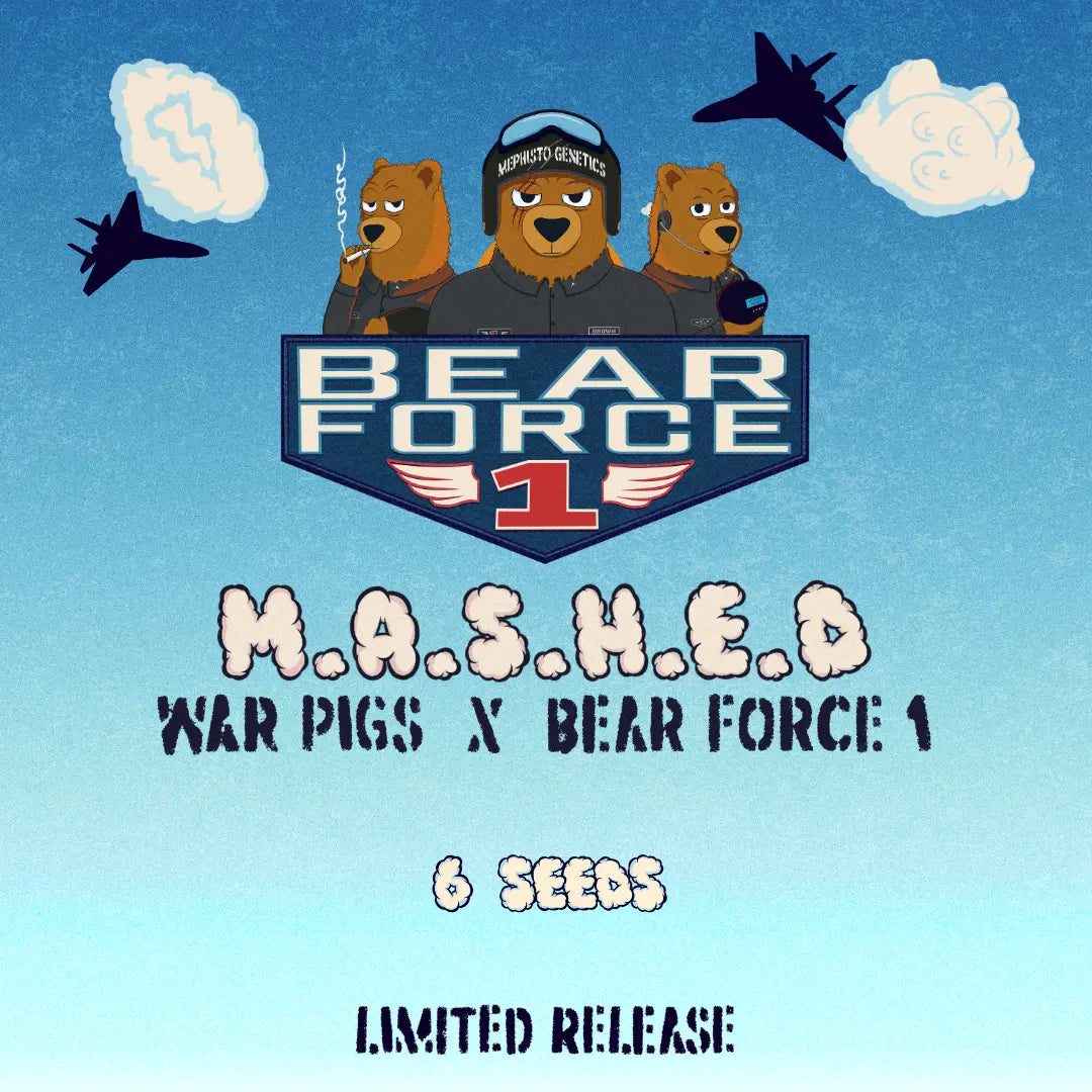 M*A*S*H*E*D