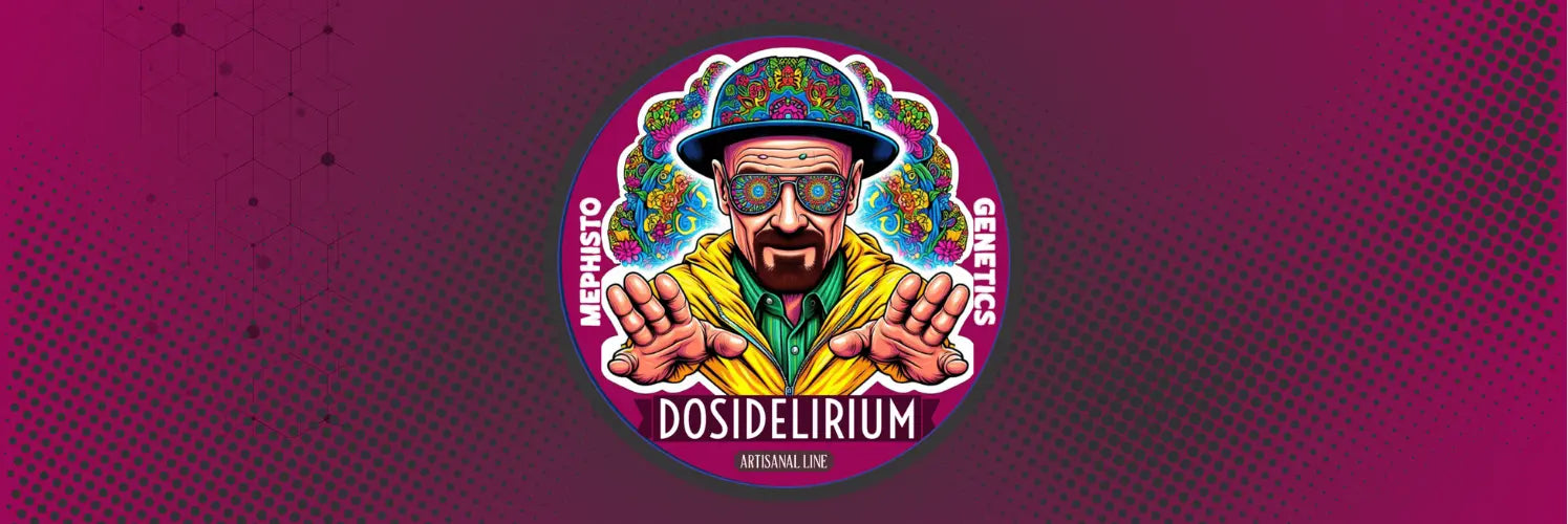DoSi Free Quali