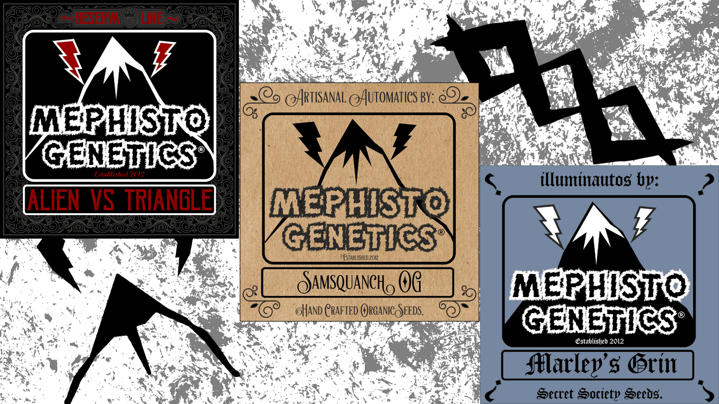 Mephisto Outdoor Bundle