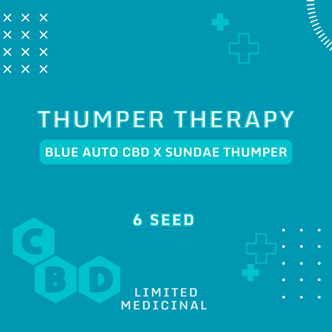Thumper Therapy